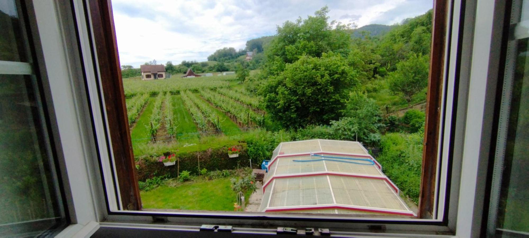La Ferme Des Perles Noires Ribeauvillé Exterior foto
